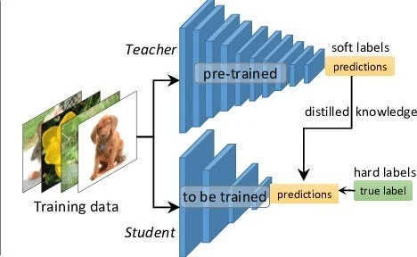 Knowledge distillation: a large teacher model transferring knowledge to a smaller student model